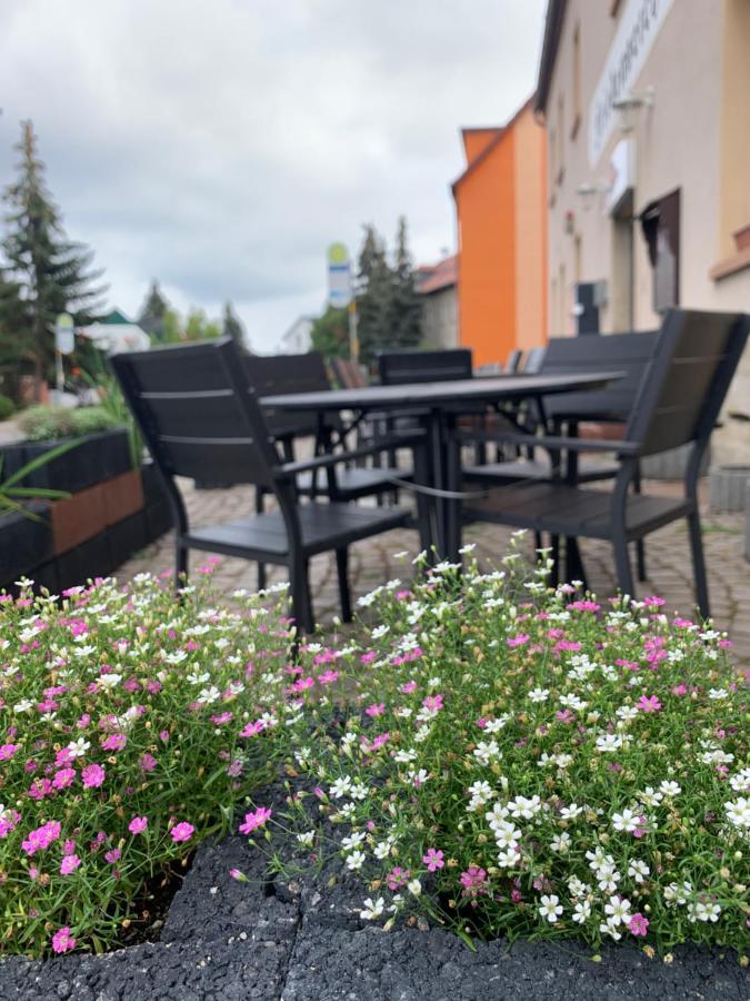 Апартаменты Divino Pension Zorbau Lutzen Экстерьер фото